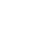 vehiculo